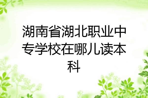 湖南省湖北职业中专学校在哪儿读本科