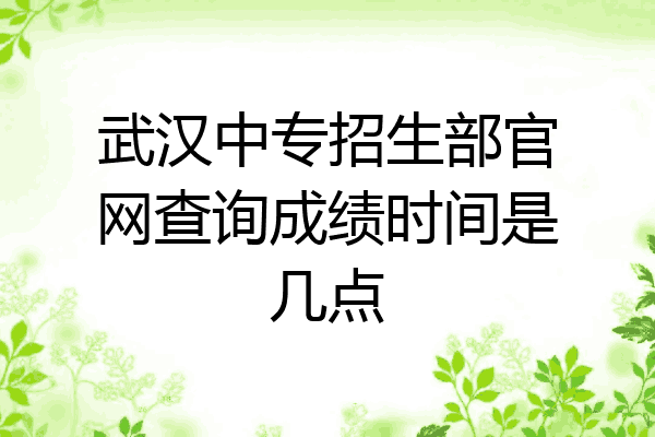 武汉中专招生部官网查询成绩时间是几点
