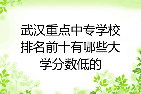 武汉重点中专学校排名前十有哪些大学分数低的