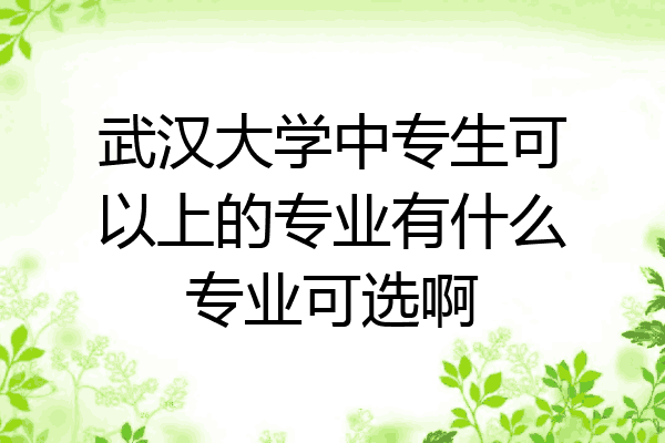 武汉大学中专生可以上的专业有什么专业可选啊