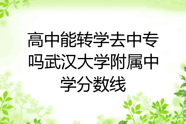 高中能转学去中专吗武汉大学附属中学分数线