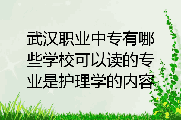 武汉职业中专有哪些学校可以读的专业是护理学的内容