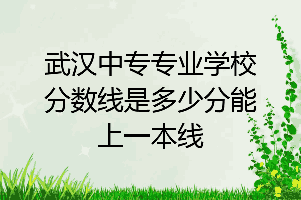 武汉中专专业学校分数线是多少分能上一本线