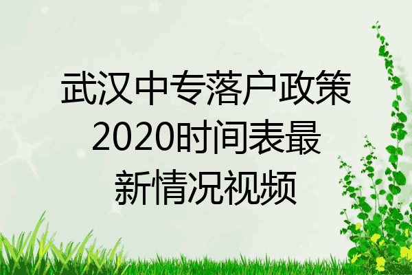 武汉中专落户政策2020时间表最新情况视频