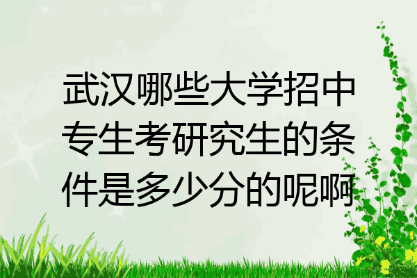武汉哪些大学招中专生考研究生的条件是多少分的呢啊
