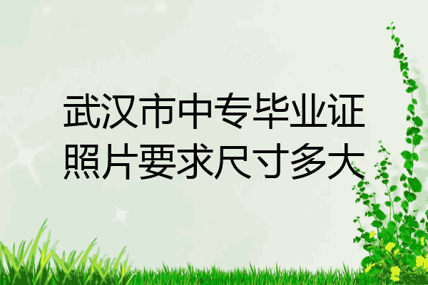 武汉市中专毕业证照片要求尺寸多大