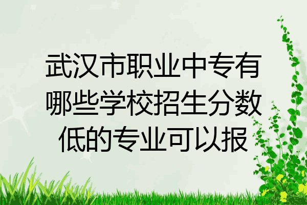武汉市职业中专有哪些学校招生分数低的专业可以报