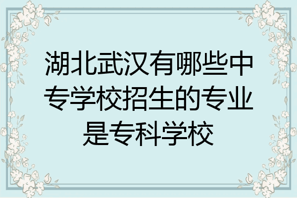 湖北武汉有哪些中专学校招生的专业是专科学校