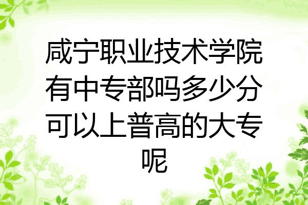 咸宁职业技术学院有中专部吗多少分可以上普高的大专呢