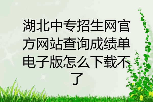 湖北中专招生网官方网站查询成绩单电子版怎么下载不了