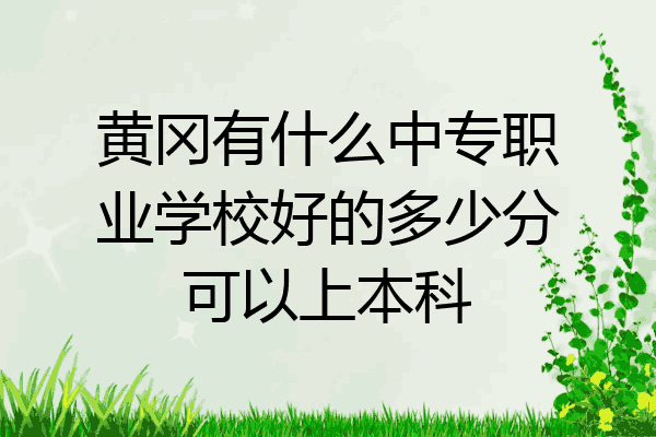黄冈有什么中专职业学校好的多少分可以上本科