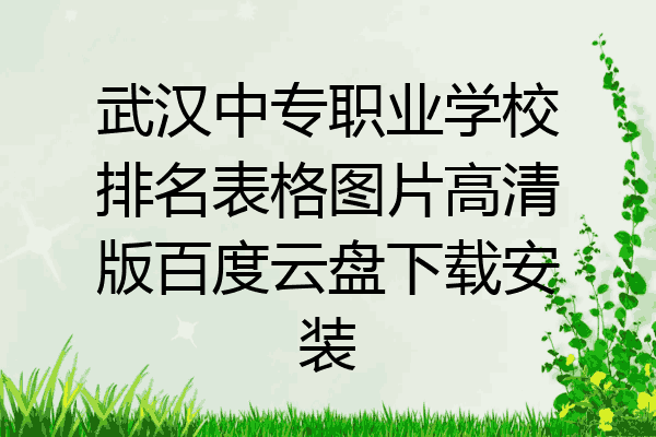 武汉中专职业学校排名表格图片高清版百度云盘下载安装