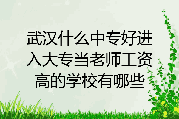 武汉什么中专好进入大专当老师工资高的学校有哪些