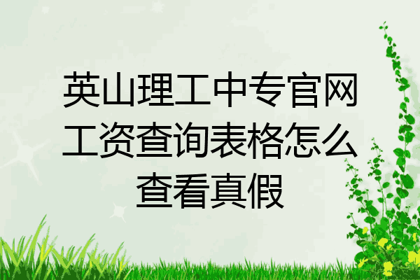 英山理工中专官网工资查询表格怎么查看真假