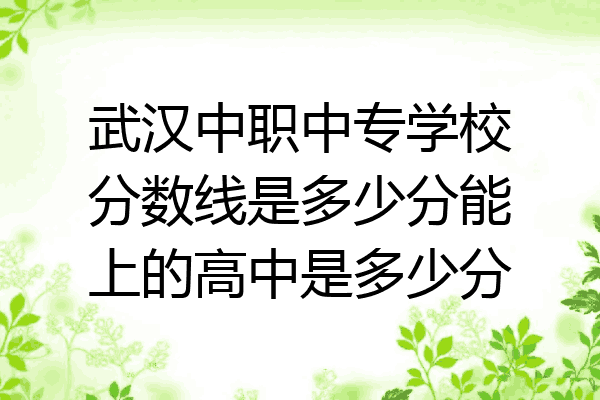 武汉中职中专学校分数线是多少分能上的高中是多少分