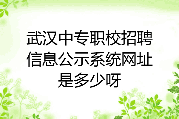 武汉中专职校招聘信息公示系统网址是多少呀