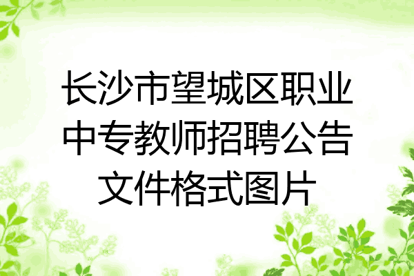 长沙市望城区职业中专教师招聘公告文件格式图片