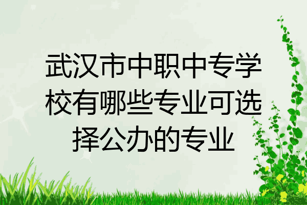 武汉市中职中专学校有哪些专业可选择公办的专业