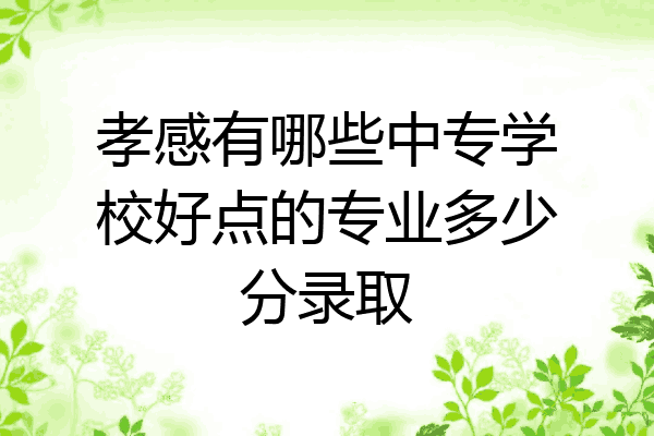 孝感有哪些中专学校好点的专业多少分录取