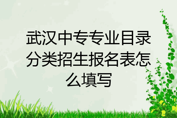 武汉中专专业目录分类招生报名表怎么填写