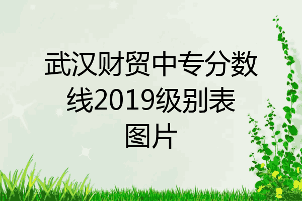 武汉财贸中专分数线2019级别表图片