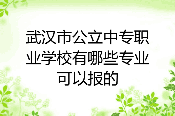武汉市公立中专职业学校有哪些专业可以报的