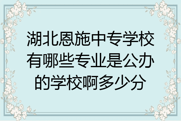 湖北恩施中专学校有哪些专业是公办的学校啊多少分