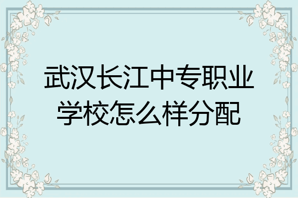 武汉长江中专职业学校怎么样分配