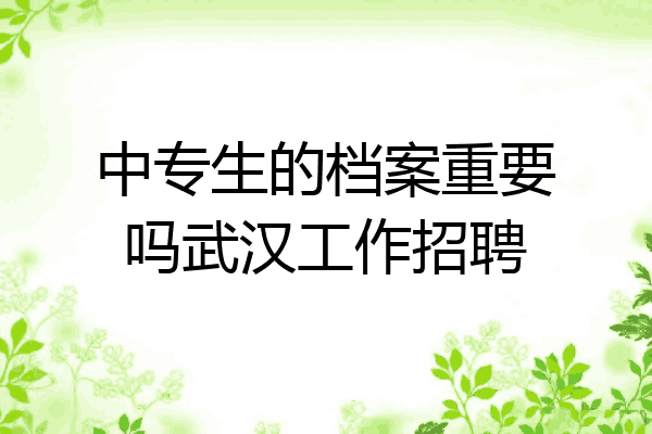 中专生的档案重要吗武汉工作招聘