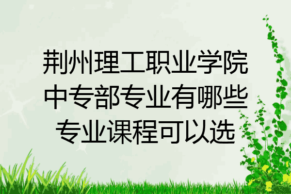 荆州理工职业学院中专部专业有哪些专业课程可以选