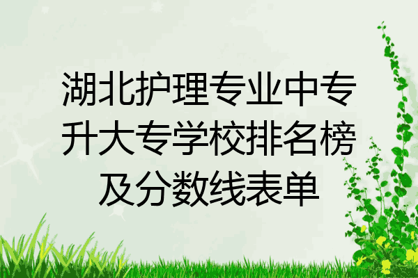 湖北护理专业中专升大专学校排名榜及分数线表单