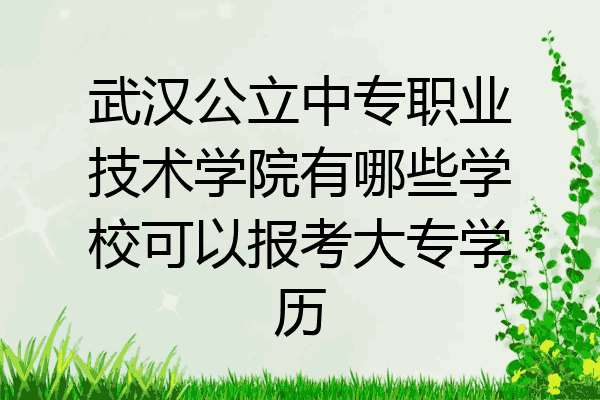 武汉公立中专职业技术学院有哪些学校可以报考大专学历