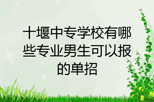 十堰中专学校有哪些专业男生可以报的单招