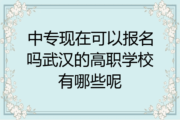 中专现在可以报名吗武汉的高职学校有哪些呢