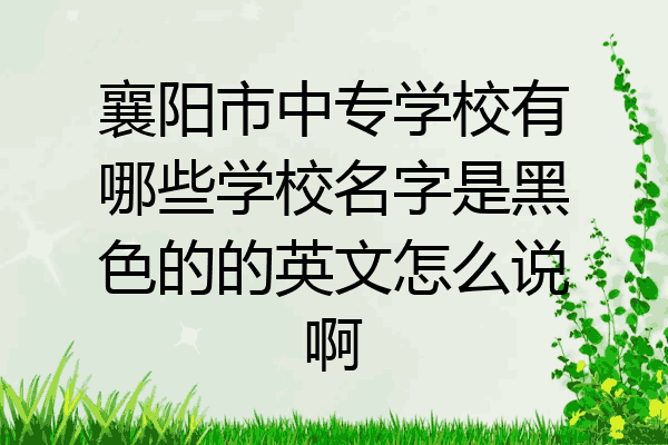 襄阳市中专学校有哪些学校名字是黑色的的英文怎么说啊