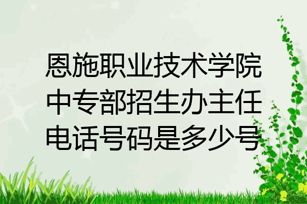 恩施职业技术学院中专部招生办主任电话号码是多少号