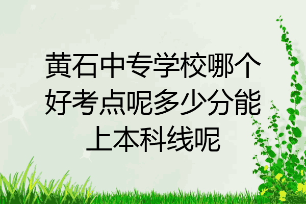 黄石中专学校哪个好考点呢多少分能上本科线呢