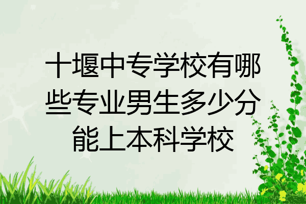 十堰中专学校有哪些专业男生多少分能上本科学校