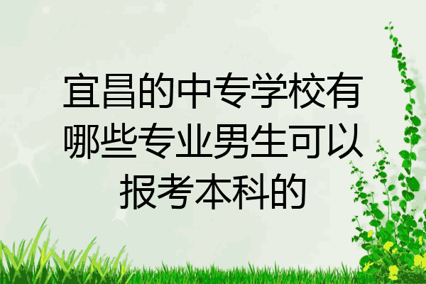 宜昌的中专学校有哪些专业男生可以报考本科的