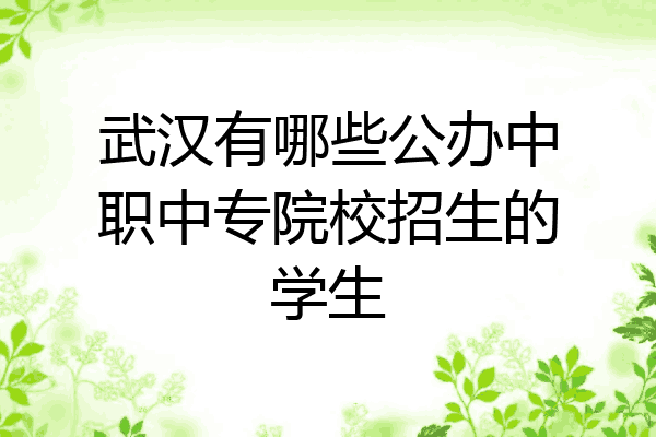 武汉有哪些公办中职中专院校招生的学生