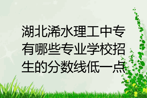 湖北浠水理工中专有哪些专业学校招生的分数线低一点