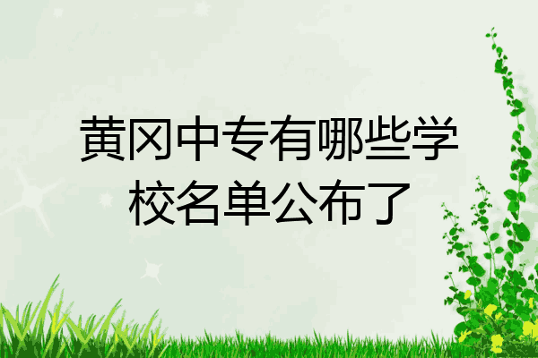 黄冈中专有哪些学校名单公布了