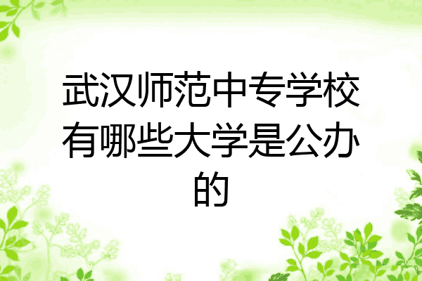 武汉师范中专学校有哪些大学是公办的