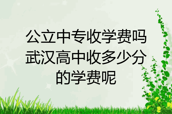公立中专收学费吗武汉高中收多少分的学费呢