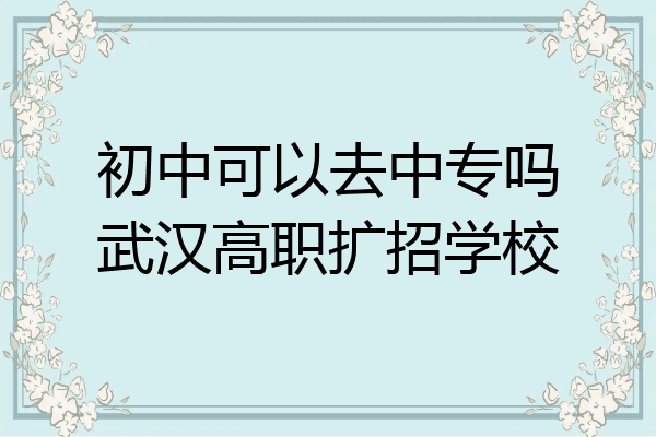 初中可以去中专吗武汉高职扩招学校