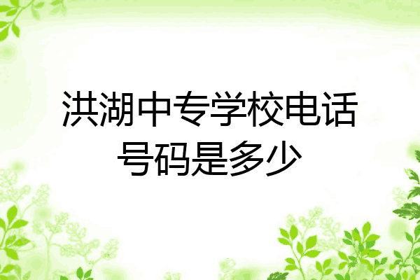 洪湖中专学校电话号码是多少