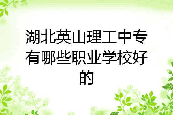 湖北英山理工中专有哪些职业学校好的