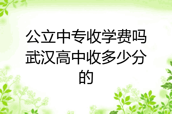 公立中专收学费吗武汉高中收多少分的