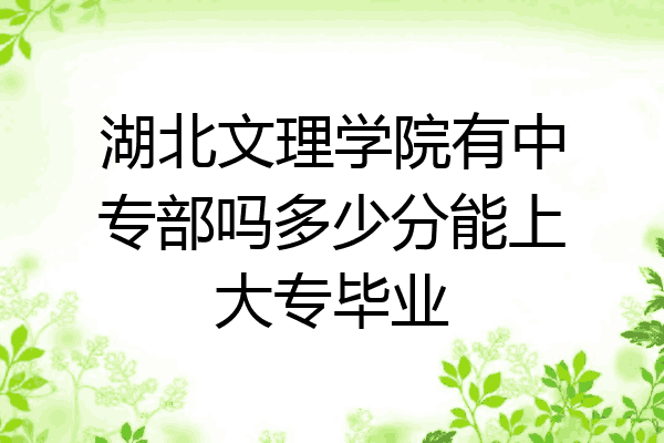 湖北文理学院有中专部吗多少分能上大专毕业