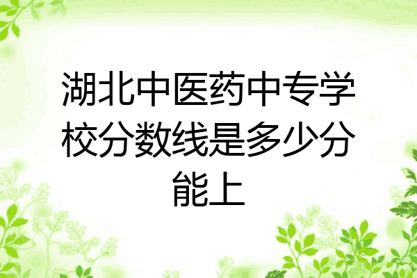 湖北中医药中专学校分数线是多少分能上